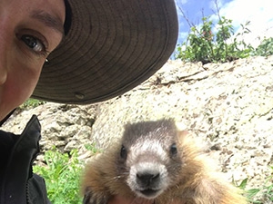 Gina and Marmot from Blumstein lab