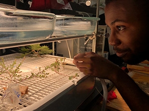 Marvin Browne from the Sack Lab