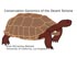 Conservation Genomics of the Desert Tortoise