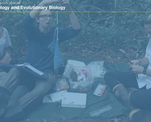 UCLAEEB10 zoom background 9