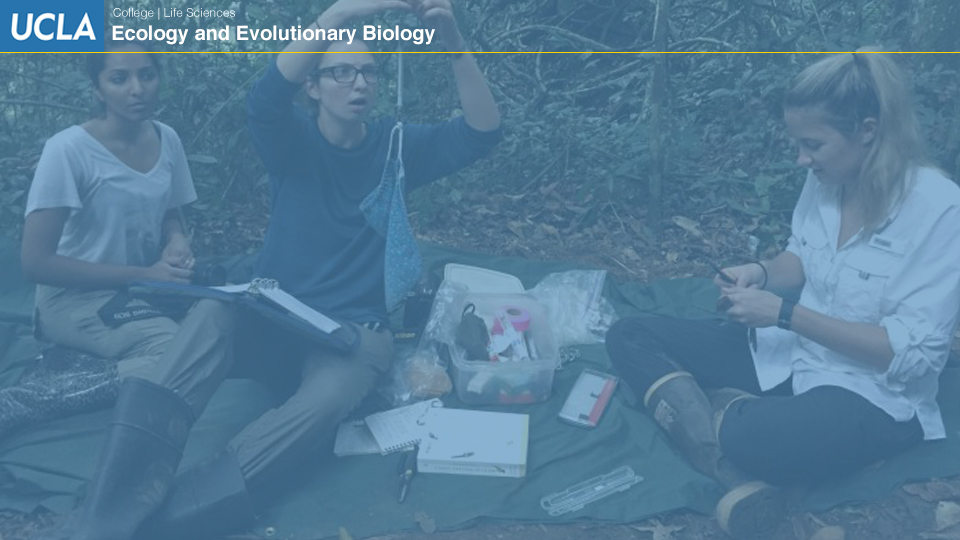 UCLAEEB10 zoom background 9