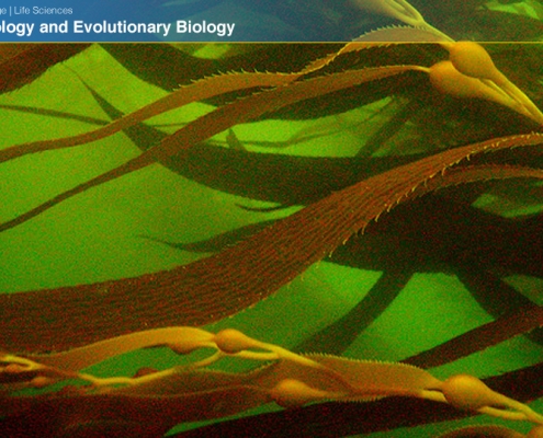 UCLAEEB13 zoom background 11c
