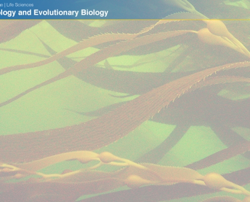 UCLAEEB13b zoom background 11b
