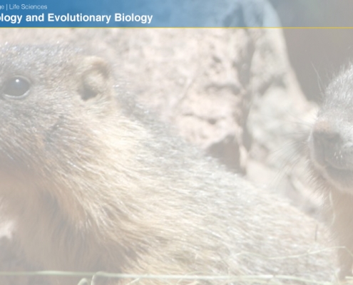 UCLAEEB15 zoom background 12