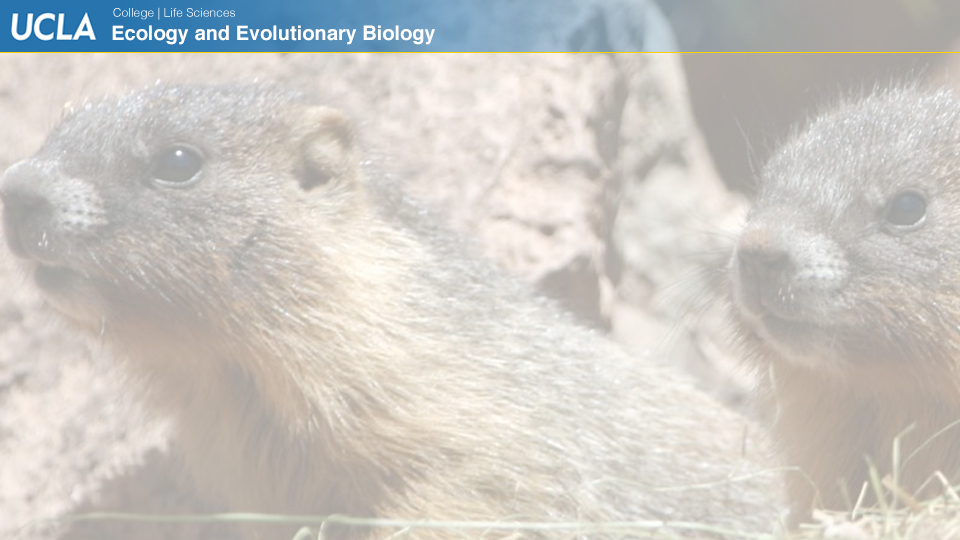 UCLAEEB15 zoom background 12