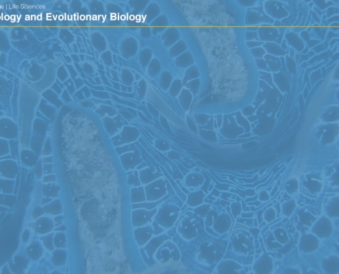 UCLAEEB3 zoom background 2