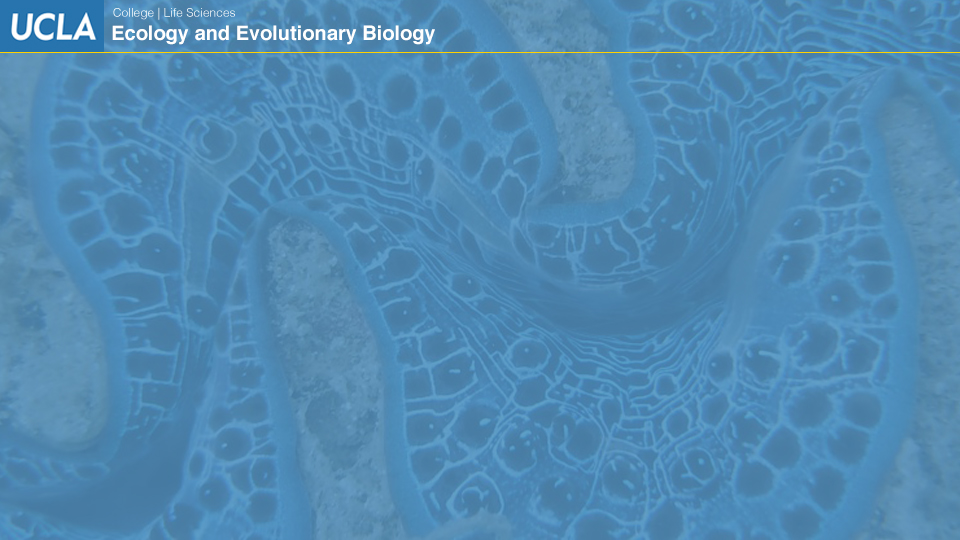 UCLAEEB3 zoom background 2