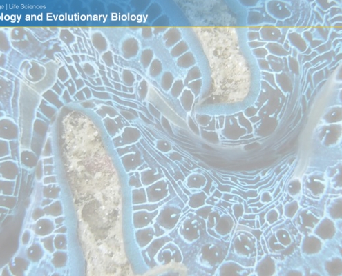 UCLAEEB3b zoom background 2b