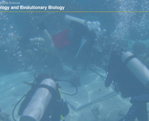 UCLAEEB5 zoom background 4