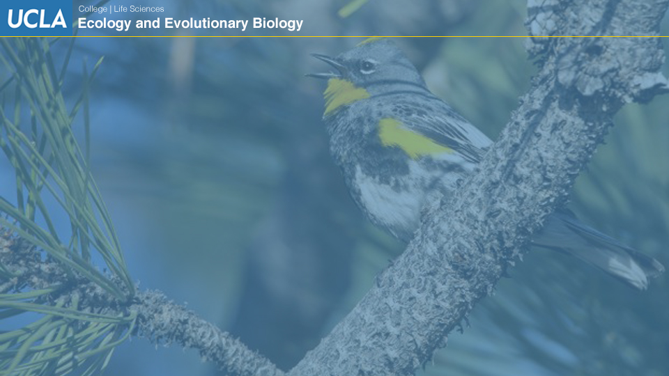 UCLAEEB6 zoom background 5