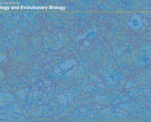 UCLAEEB7 zoom background 6