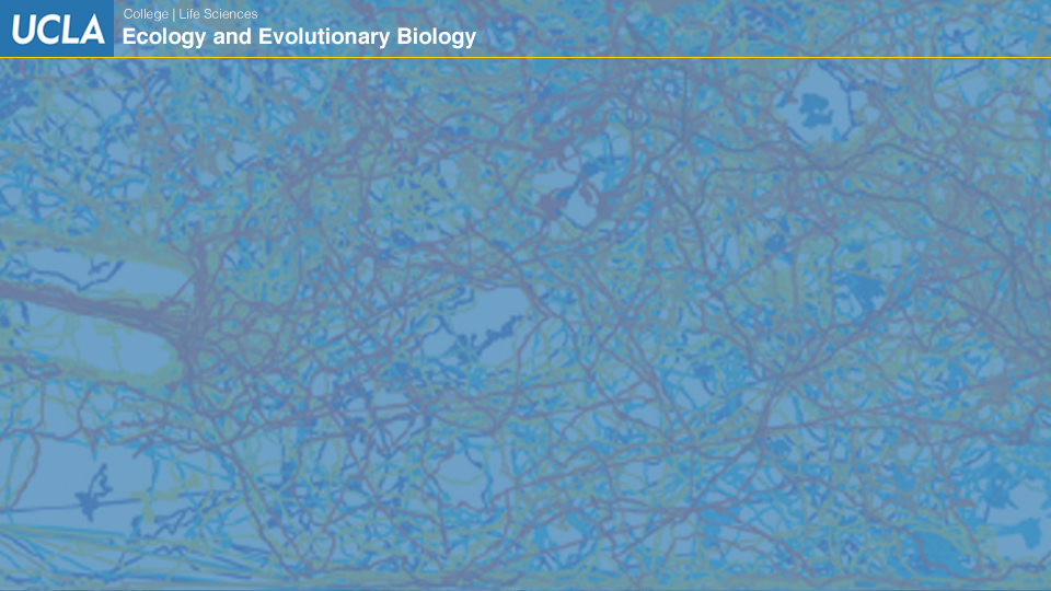 UCLAEEB7 zoom background 6