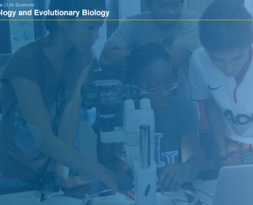 UCLAEEB8 zoom background 7