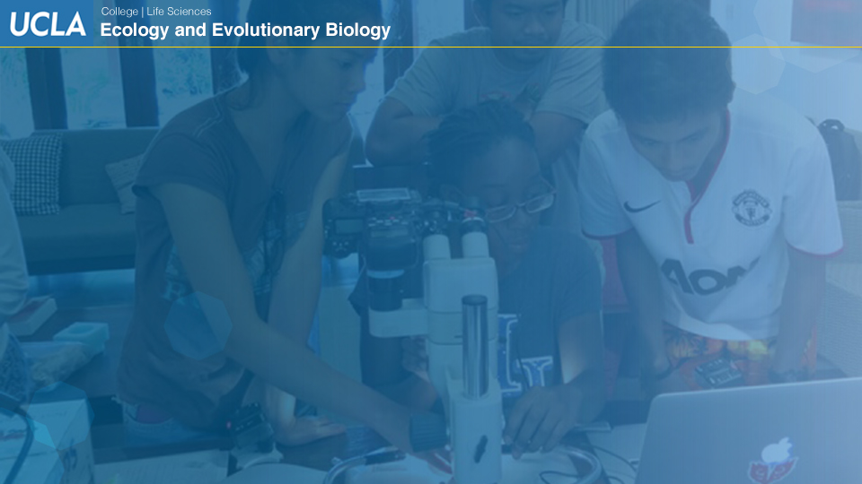 UCLAEEB8 zoom background 7