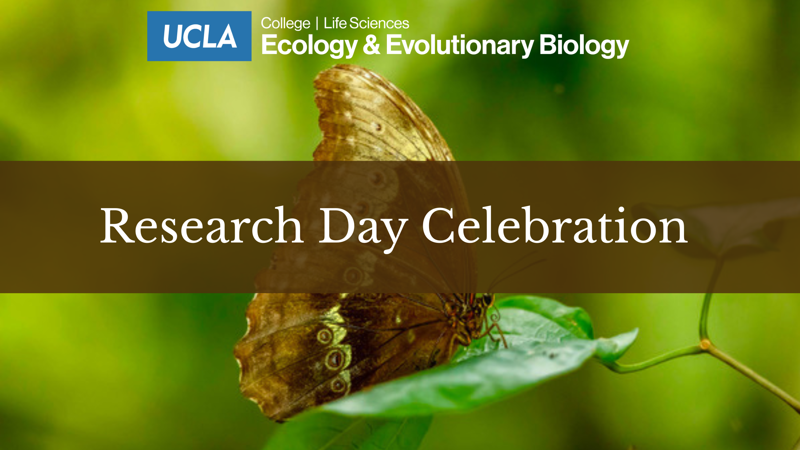 Research Day Celebration